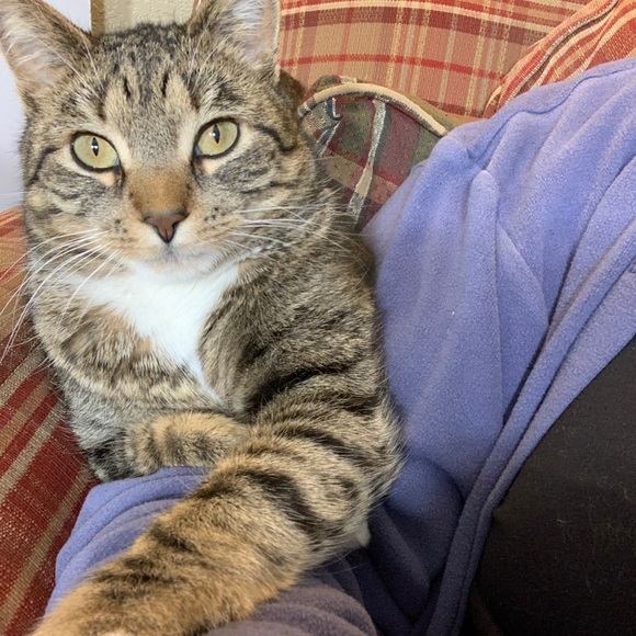 Meet your Posher, Susan - Picture 3 of 3